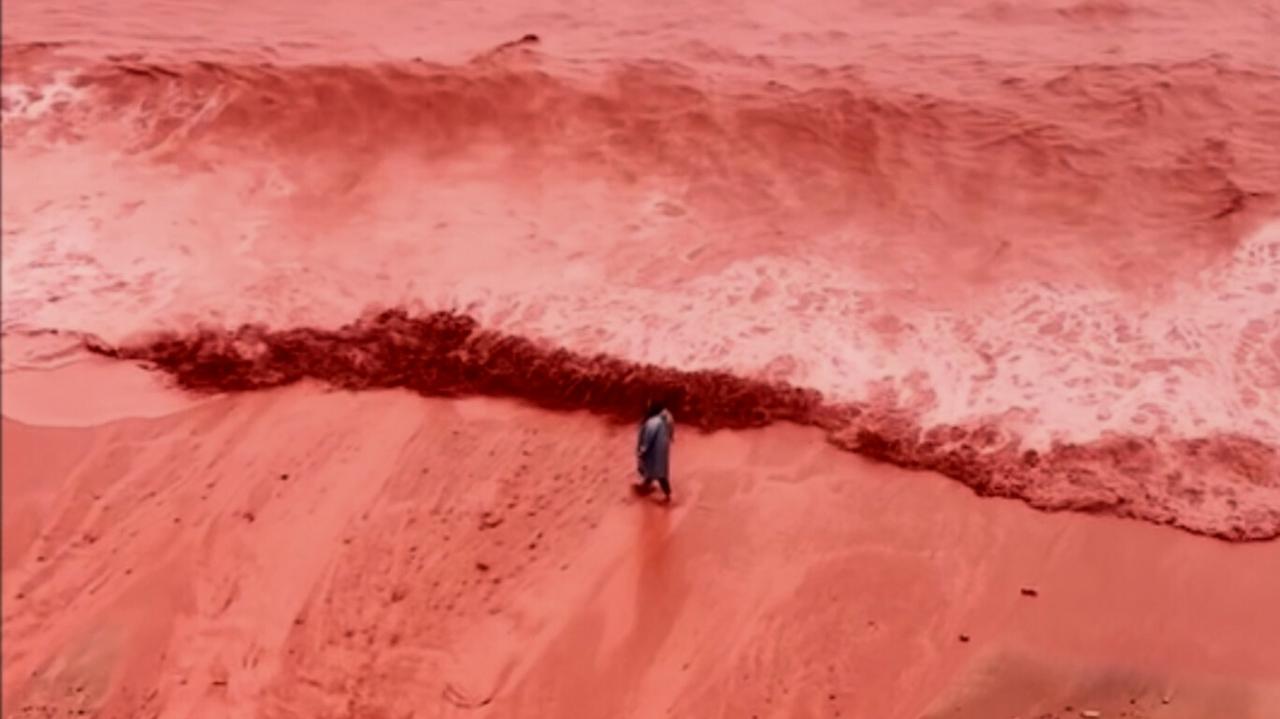 "Krwista" woda pojawiła się przy plaży