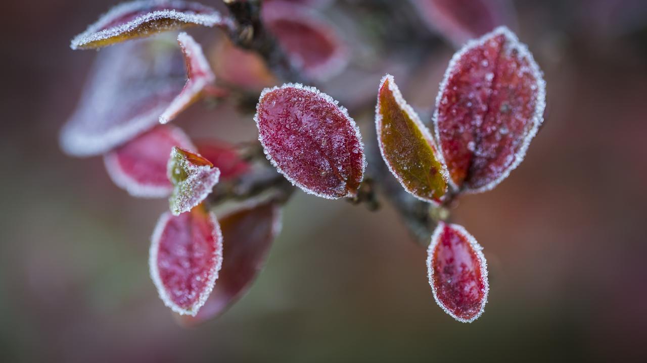 Tu w nocy temperatura spadnie poniżej zera. IMGW ostrzega