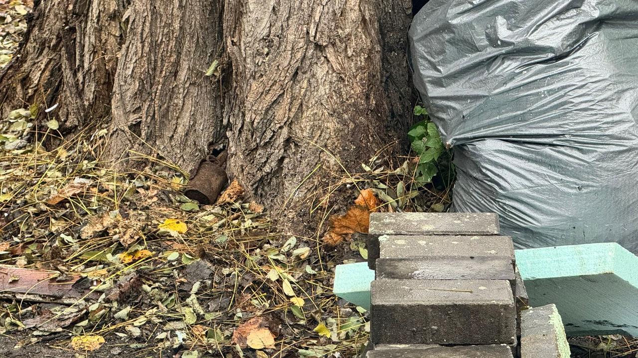 Ewakuacja mieszkańców i uczniów. Znaleziono niewybuch