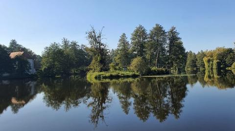 Do zdarzenia doszło w powiecie zamojskim