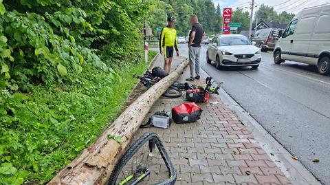 Na jadących rowerzystów spadło drzewo 