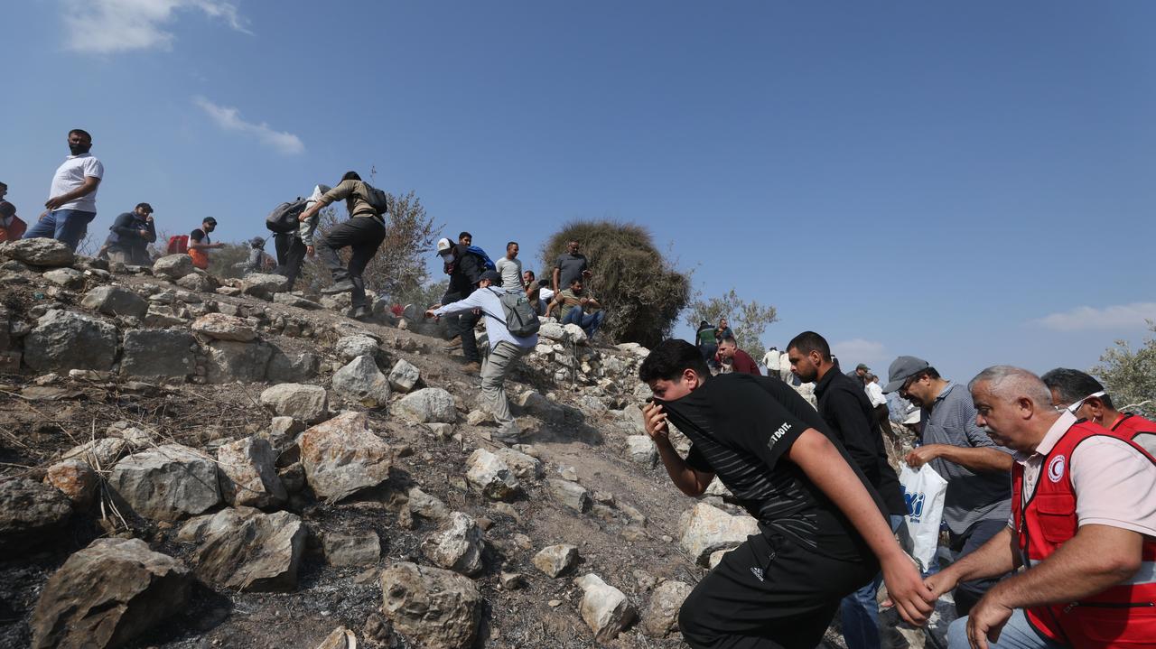 Atak izraelskich osadników na Palestyńczyków zbierających oliwki