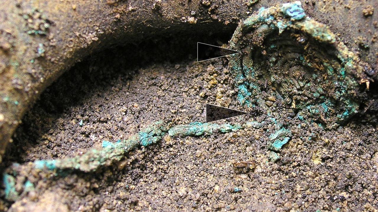 Biżuteria z chrząszczy w urnie dziecka. "Unikatowe znalezisko"