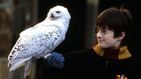"Harry Potter i kamień filozoficzny" to oficjalny początek opowieści o małym czarodzieju