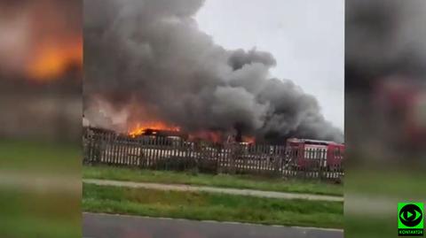 Pożar tartaku w Głogowie (Kujawsko-Pomorskie)