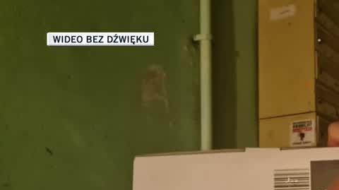 slajdszoł dla Igora