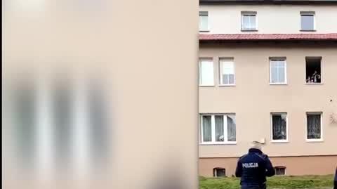 policjanci