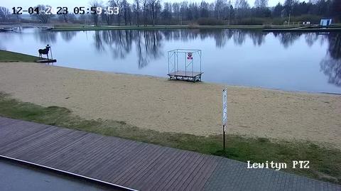 Najpierw kąpiel, potem plac zabaw. Łoś w oku kamery
