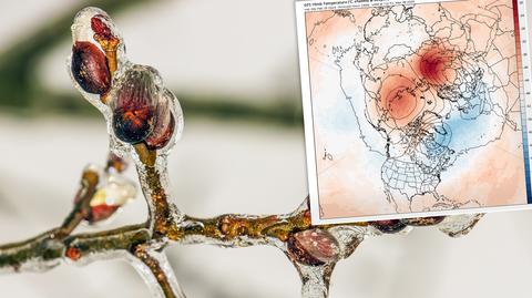 Temperatura w lutym odbiega od wartości historycznych