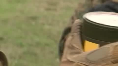 stinger