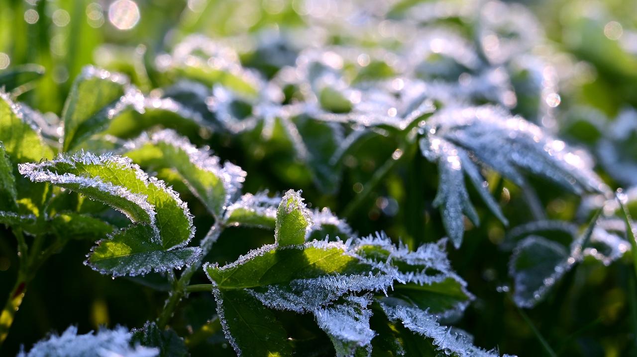 Lodowate noce i poranki. Tutaj mogą obowiązywać alarmy IMGW