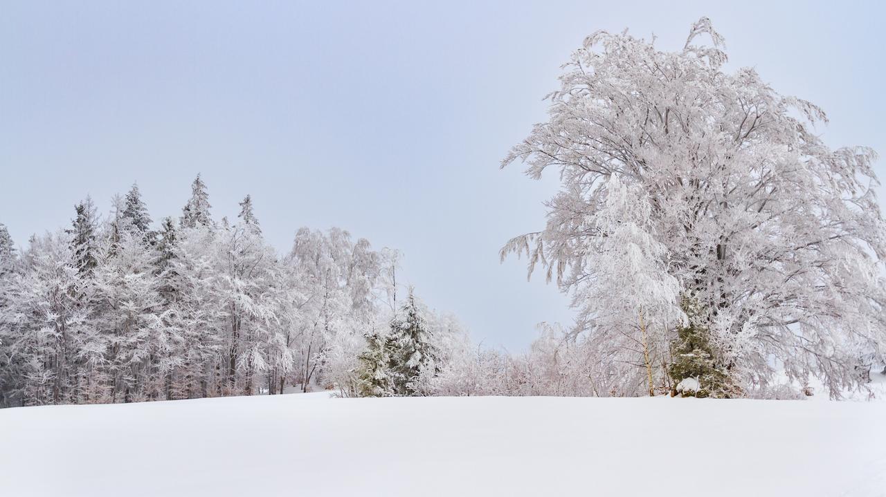 Pogoda. Trzaskający mróz i pół metra śniegu. Zima nigdzie się nie wybiera