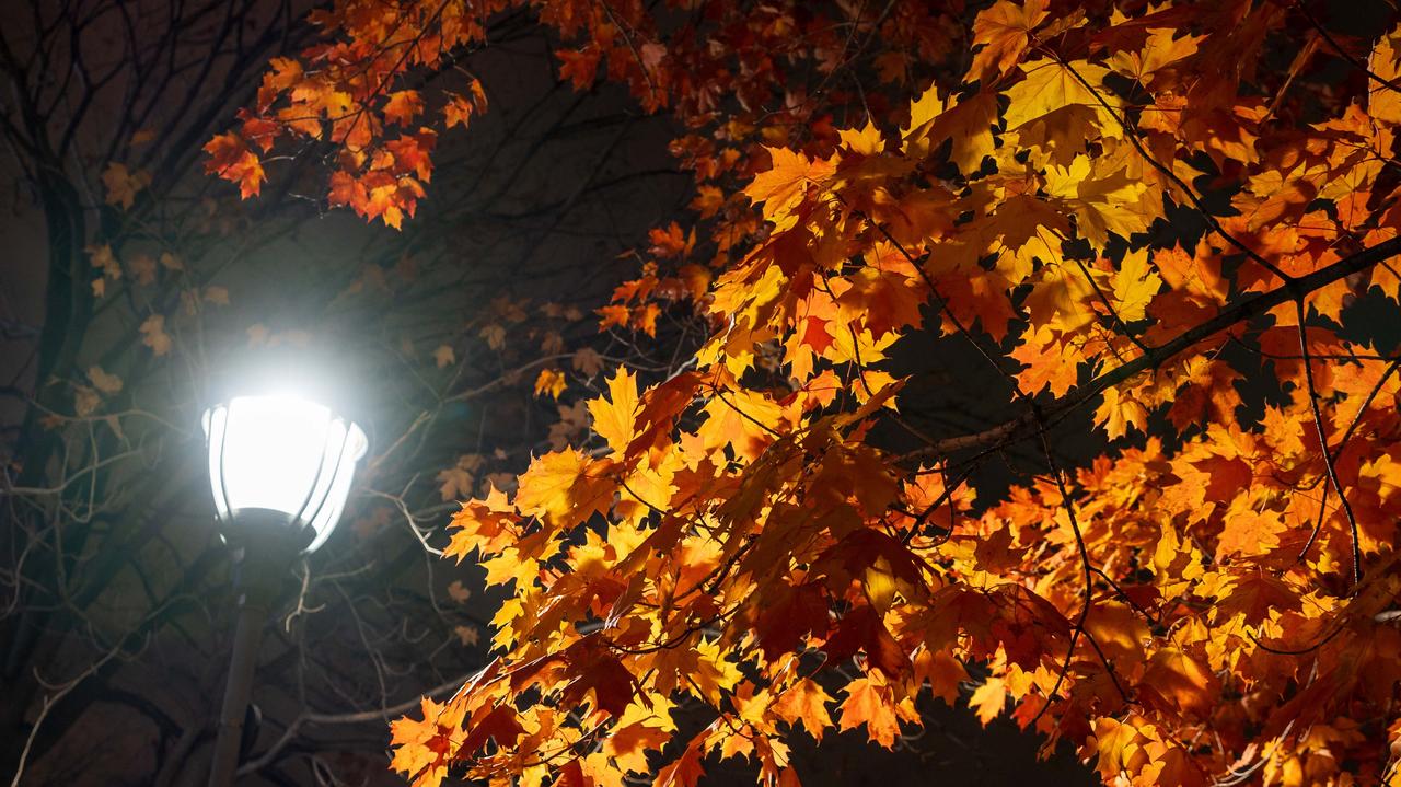 Pogoda na jutro - czwartek, 30.10. Nocą możliwe są lokalne zamglenia i opady