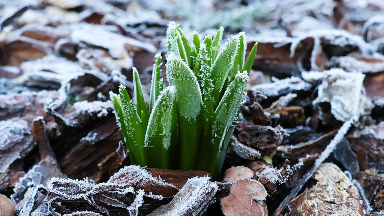 Przy gruncie odnotowano -10 stopni Celsjusza