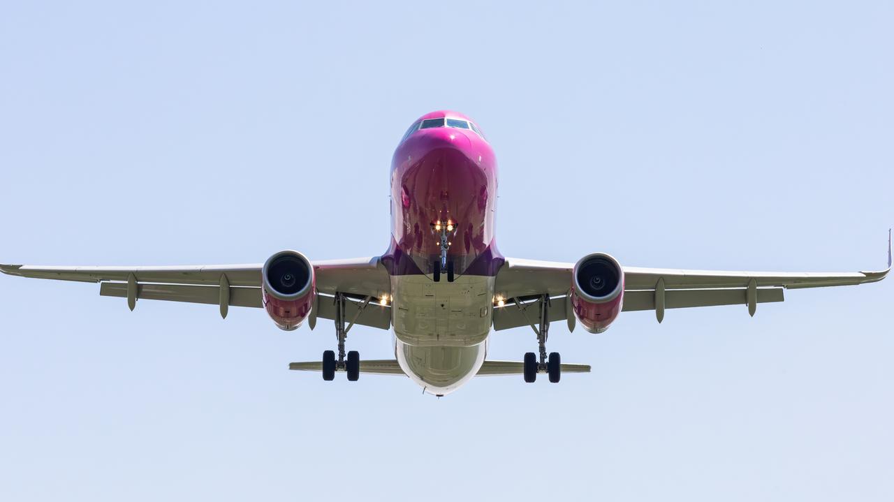 Linia lotnicza zawiesi cyfrowe usługi. "Bezpłatna odprawa na lotnisku"