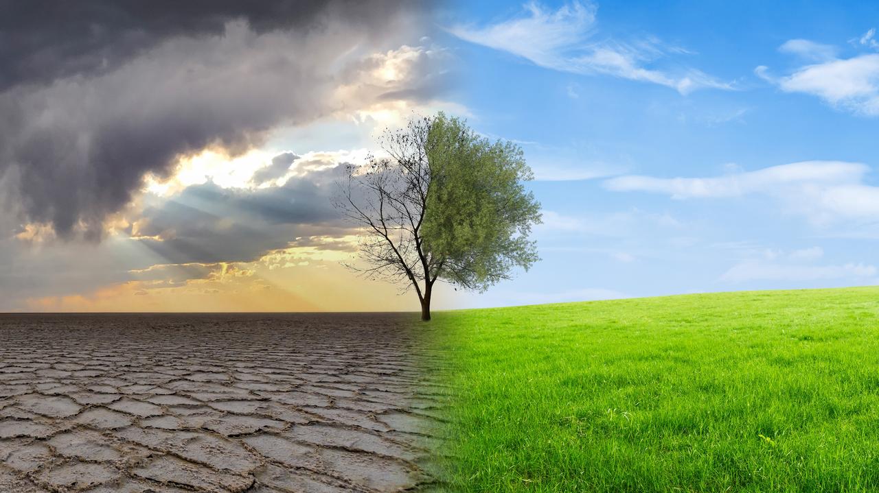 Do końca wieku Ziemia przestanie być dla nich przyjaznym miejscem