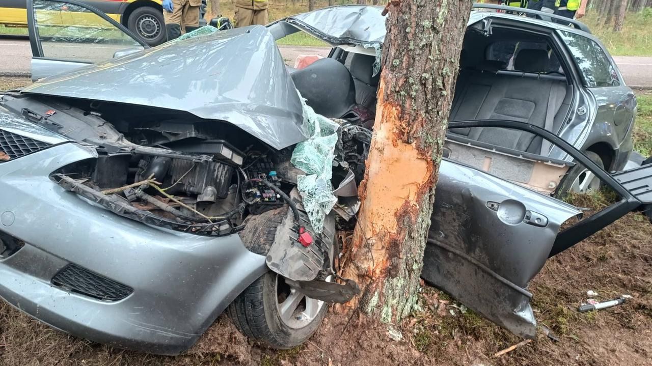 Uderzyli w drzewo. Kierowca i jedna z pasażerek byli nieprzytomni