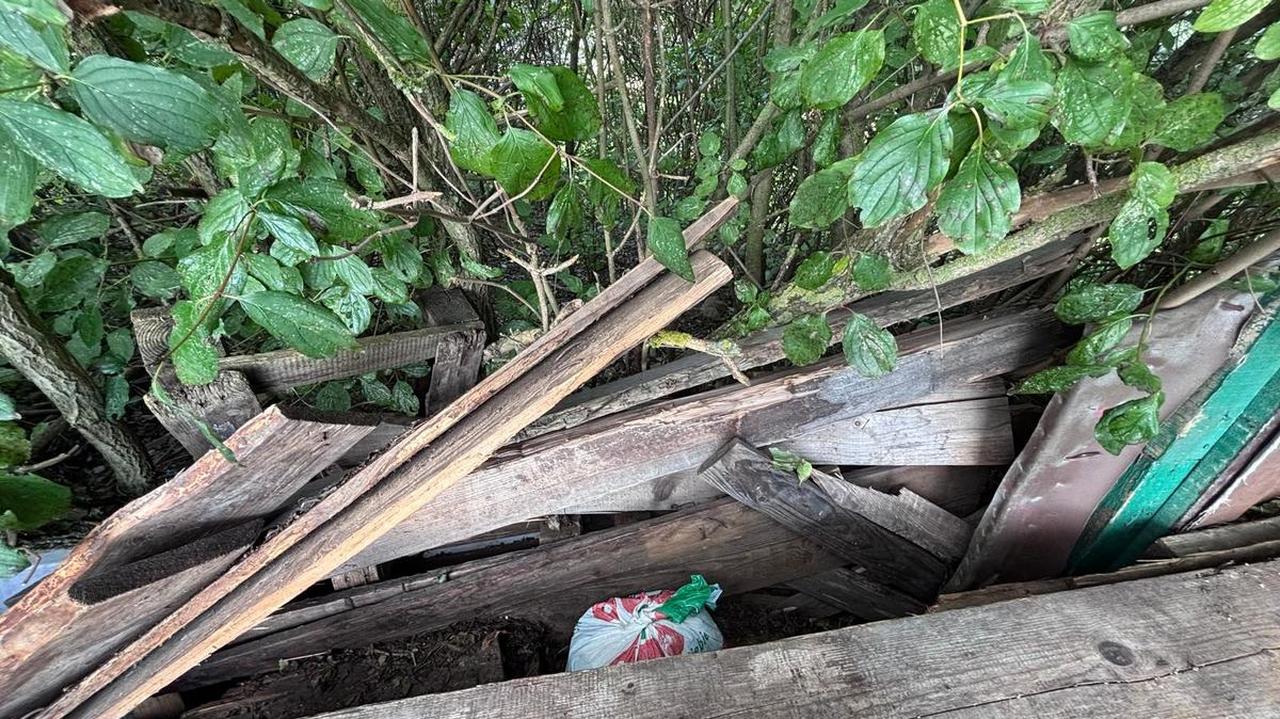 2,5 tysiąca porcji narkotyków pod stertą drewna. Zatrzymano 33-latka