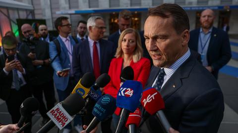 Sikorski: Polacy w USA tradycyjnie byli tak zwanymi reaganowskimi demokratami