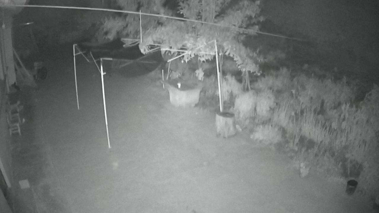Trzęsienie ziemi w Chinach. Ranni i uszkodzone budynki