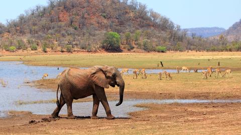 Harare, stolica Zimbabwe