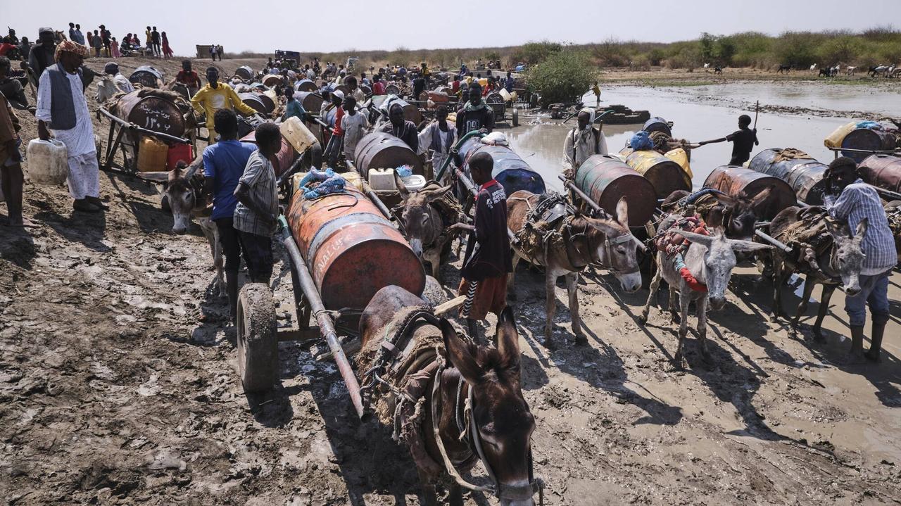 Kanały pełne ciał widoczne z kosmosu. Szokujące ustalenia