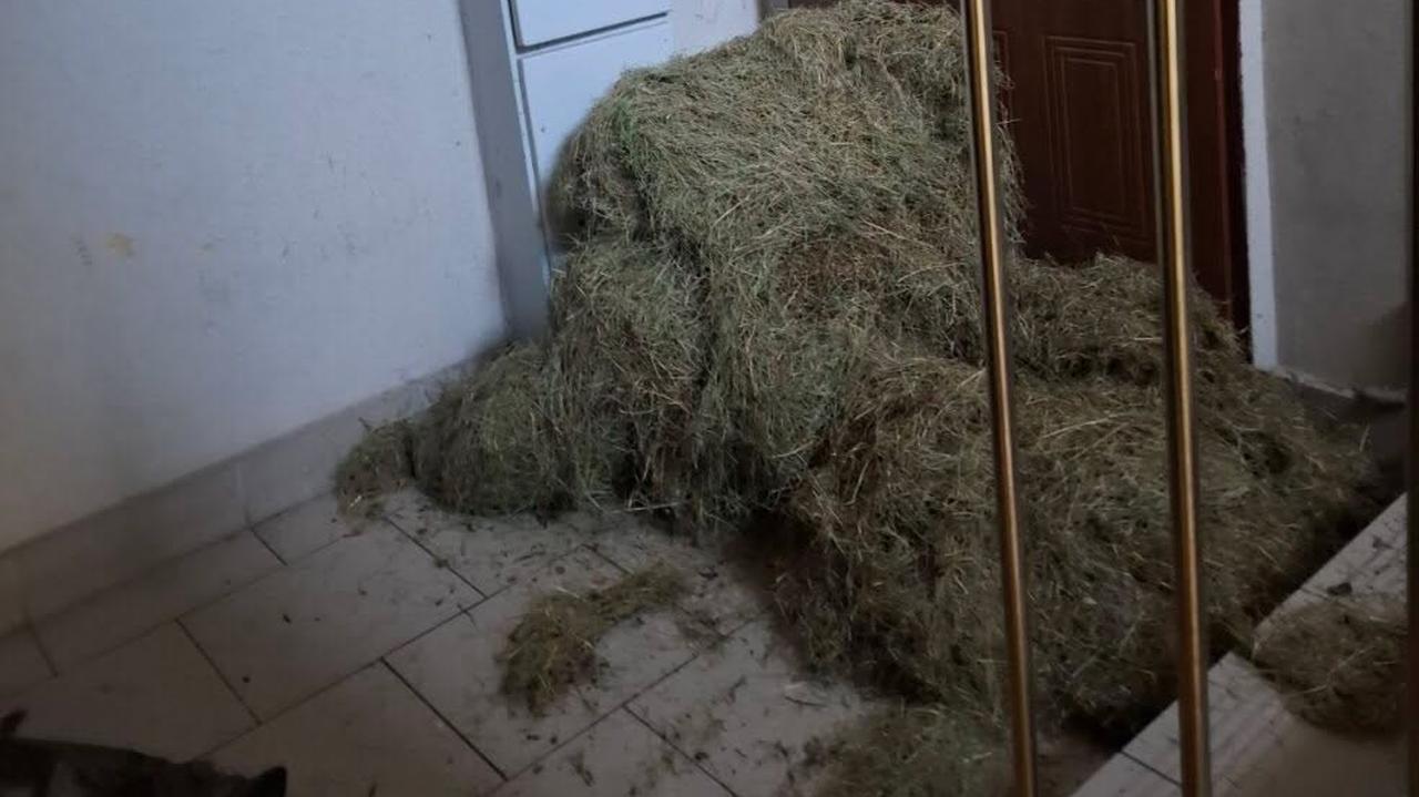 Konflikt lokatorów bloku i siano na klatce schodowej