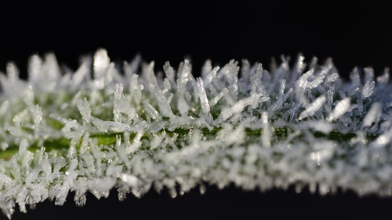 Pogoda na jutro - poniedziałek 05.05. W nocy mróz zetnie nie tylko przy gruncie