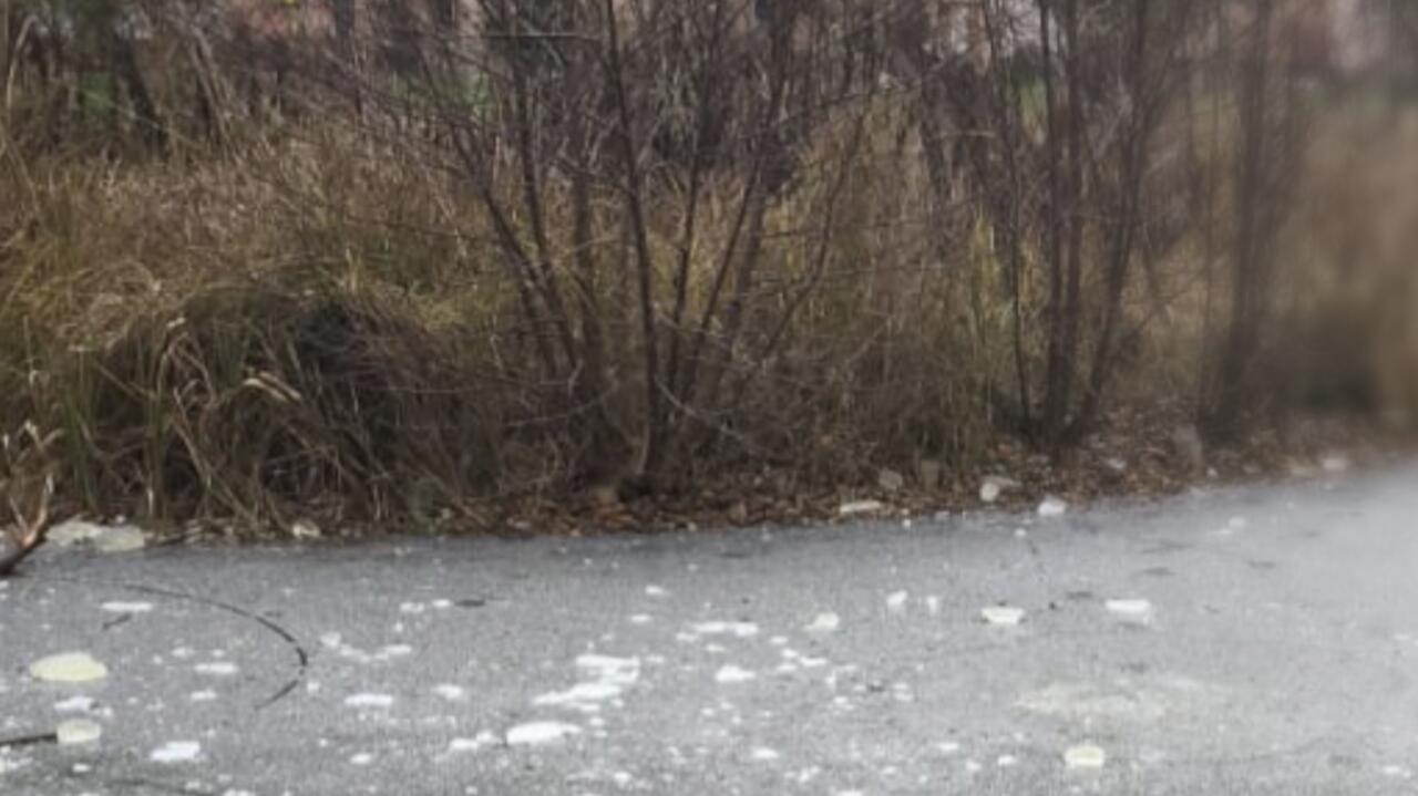 Przeszedł po kruchym lodzie na niewielką wyspę. "Na szczęście się wystraszył"