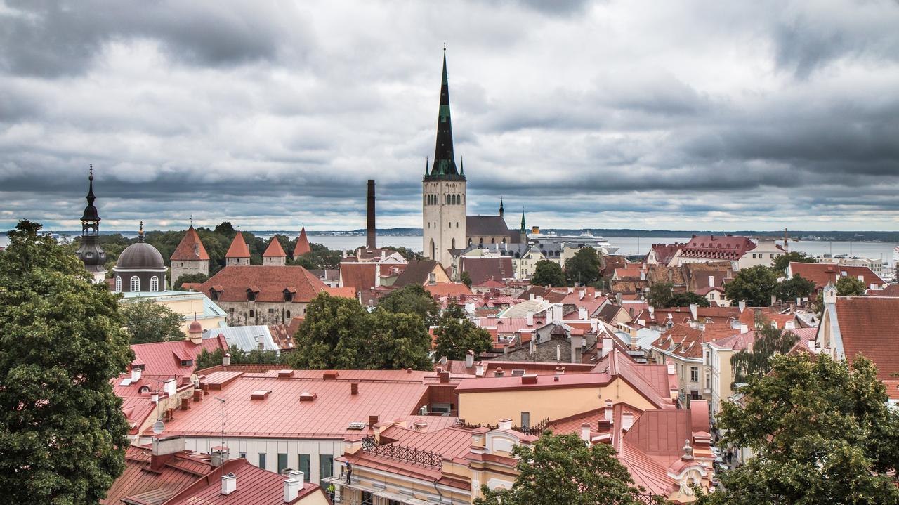 Estonia stawia się rosyjskiemu niedźwiedziowi. Ma szanse?