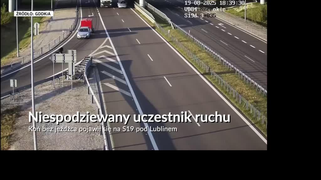 źródło: GDDKiA 