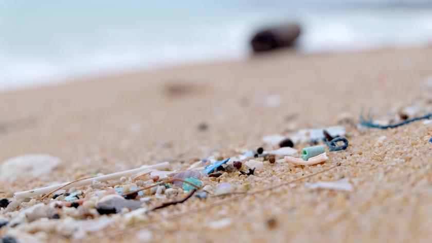 Wzrasta ilość śmieci w oceanach