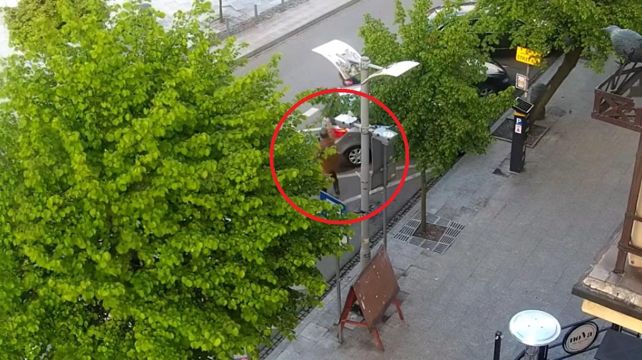 Celował z broni do przechodniów, później oddał kilka strzałów. Nagranie