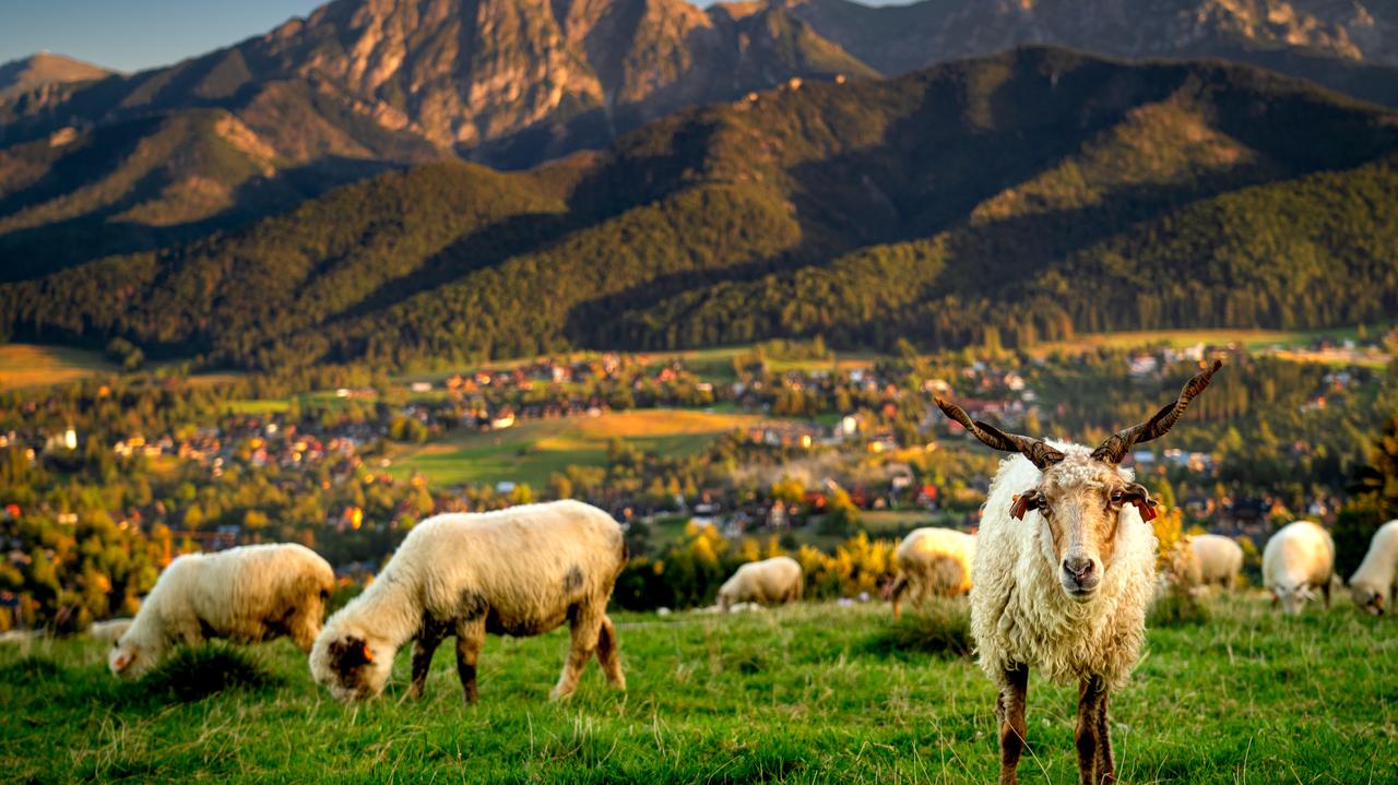 Ten weekend "rozdaje turystyczne karty"