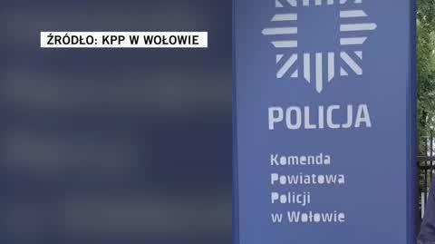 policja 