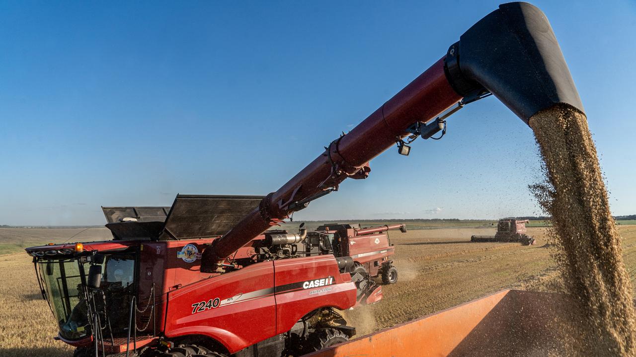 Ucrania: prohibición de las importaciones de cereales.  Comentarios de España, Alemania y EE.UU.