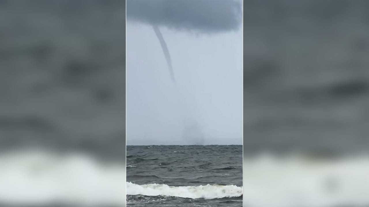 Znów pojawiły się nad Bałtykiem. Są nagrania