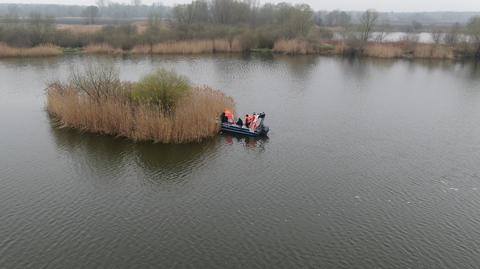 100 kilogramów śniętych ryb w Zbiorniku Czernica koło Wrocławia
