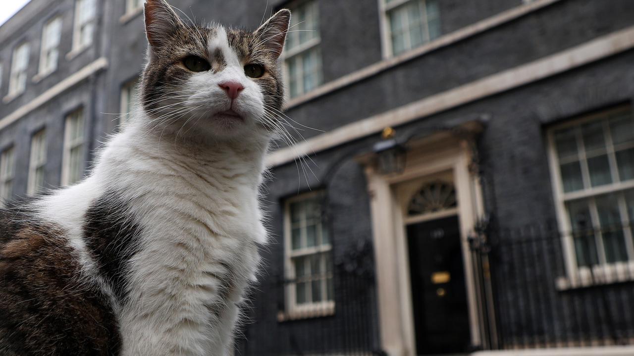 Przetrwał sześcioro premierów. 15 lat Larry'ego przy Downing Street