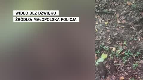 Małopolska policja