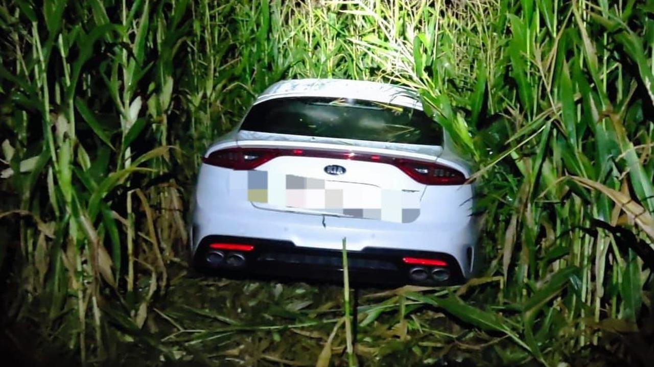 Nie miał prawa jazdy, był pijany – wjechał w kukurydzę