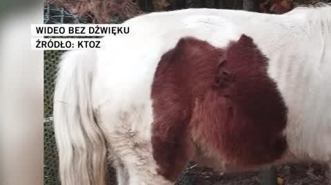 KTOZ