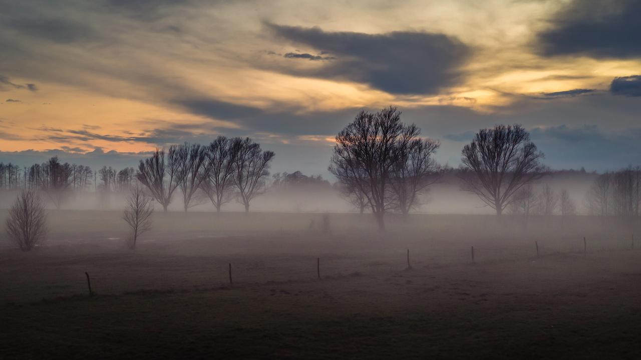 Pogoda na 5 dni: panowanie zgniłego wyżu. Co przyniesie początek grudnia