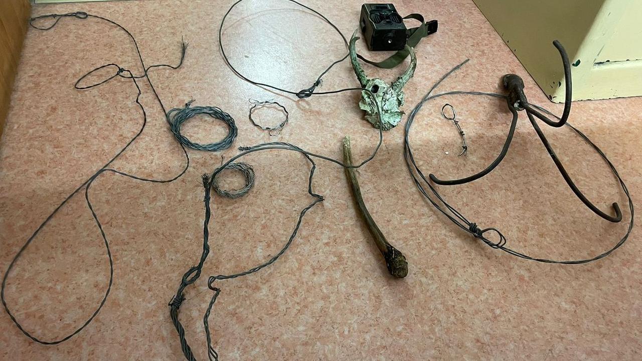 Rozkładał wnyki, jeden pies nie przeżył. 25-latek w rękach policji