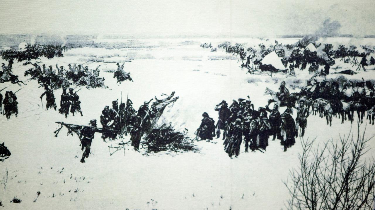 Nie tylko tyfus. Naukowcy o tym, co mogło zdziesiątkować armię Napoleona 