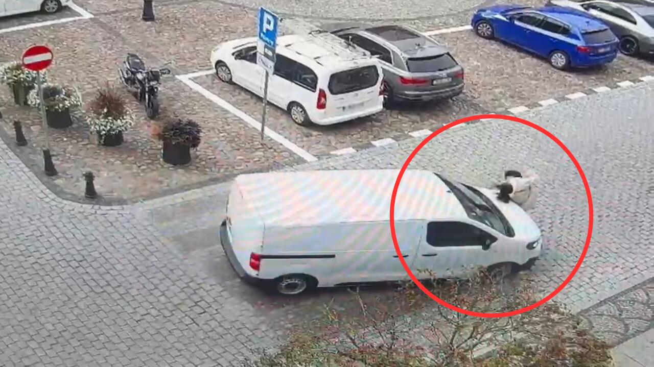 Ciężarna kobieta potrącona na przejściu dla pieszych. Nagranie