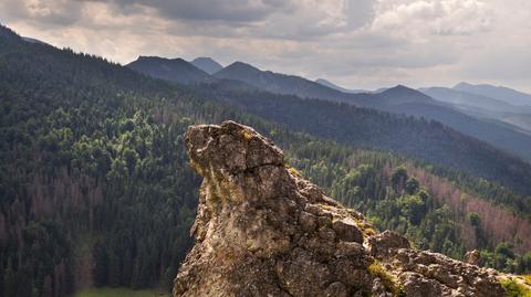 shutterstock_2227061109