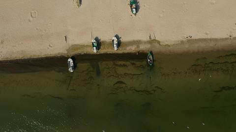 Sinice na Bałtyku z lotu ptaka (WWF/Dariusz Bógdał)