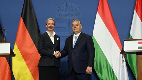 Premier Węgier Viktor Orban spotkał się w Budapeszcie z przewodniczącą AfD Alice Weidel