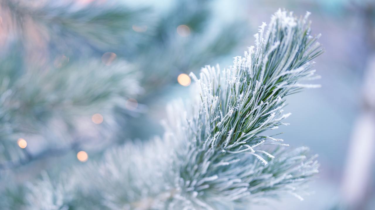 Pogoda na Boże Narodzenie. Mróz jeszcze nie odpuści